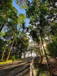 A Quiet Escape Above the City: Morning Stroll at Air Itam Dam