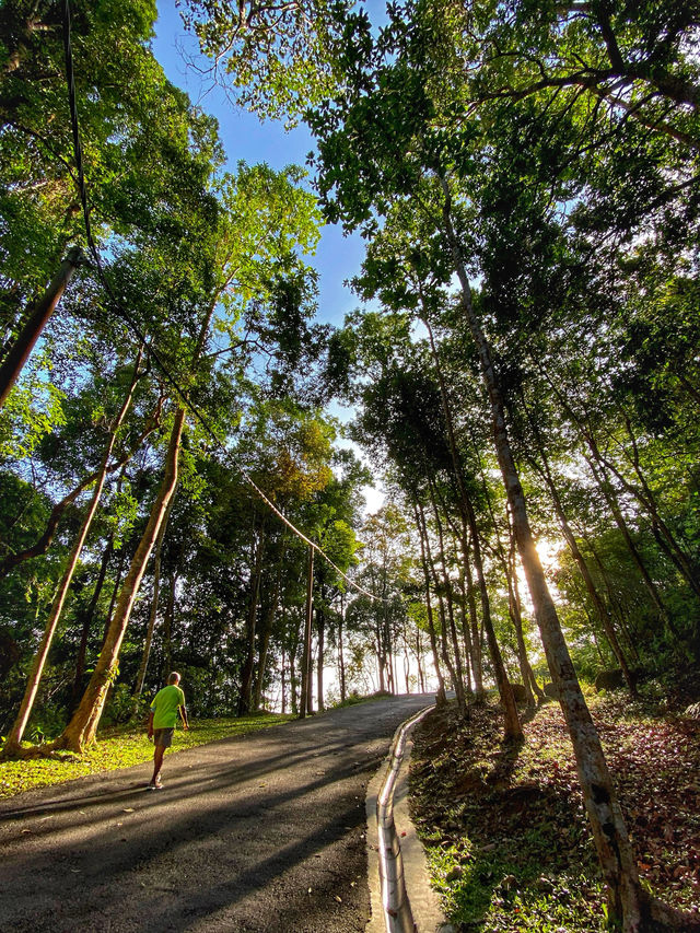 A Quiet Escape Above the City: Morning Stroll at Air Itam Dam