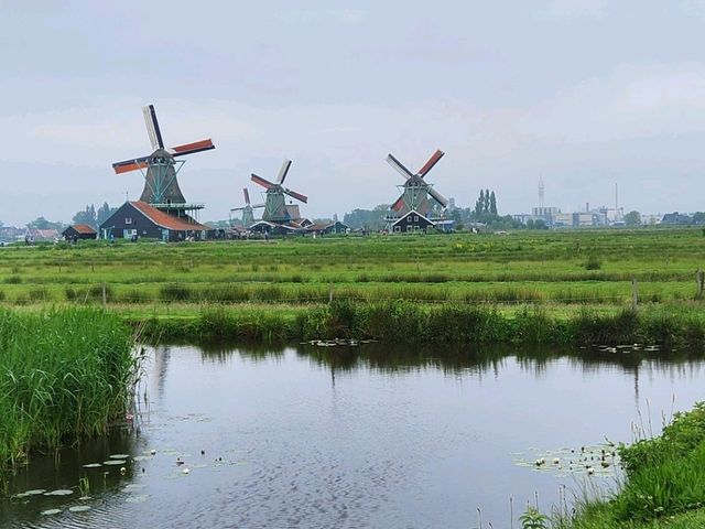 🏡風車的童話小鎮~