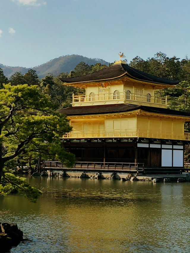 【京都旅行】オススメスポット紹介