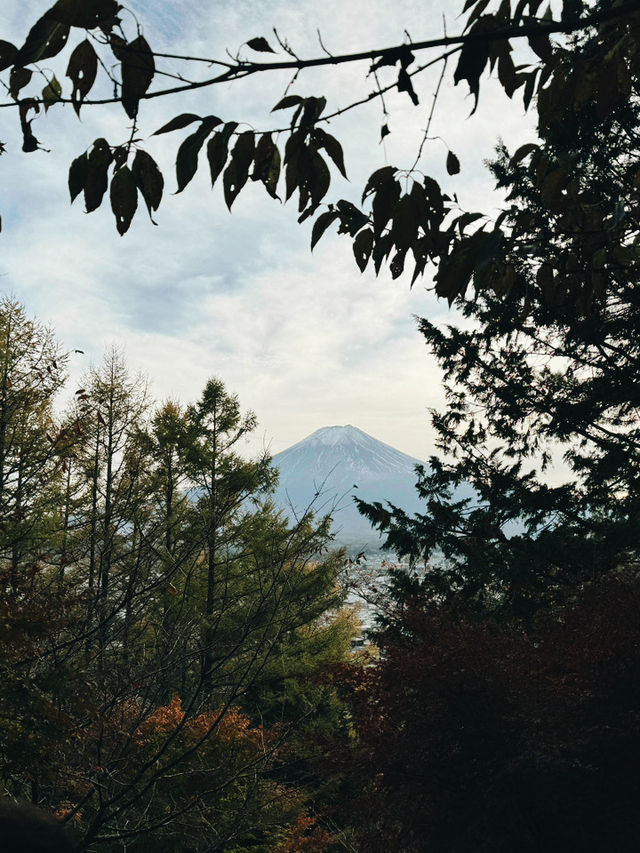 東京｜交通攻略｜富士山周邊旅遊路線