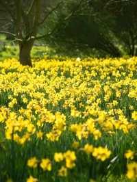 Royal Botanic Gardens – London’s Autumn Masterpiece