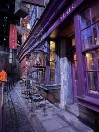 Wand Shops and Wizarding Wonders: Diagon Alley
