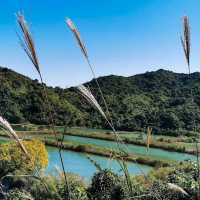 荔枝窩（Lai Chi Wo）