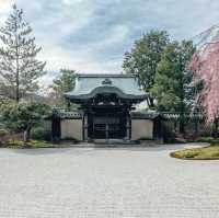 Japan – Sakura Season in the Snow Belt