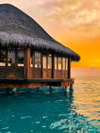 🌴 Angsana Velavaru Maldives: A Vibrant Escape into Barefoot Luxury