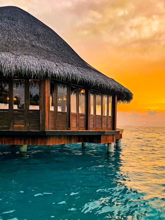 🌴 Angsana Velavaru Maldives: A Vibrant Escape into Barefoot Luxury