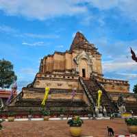 🪷ไหว้พระ | วัดเจดีย์หลวง เชียงใหม่ 🪷