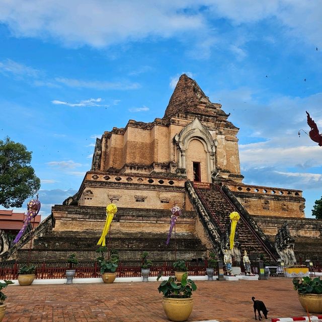 🪷ไหว้พระ | วัดเจดีย์หลวง เชียงใหม่ 🪷