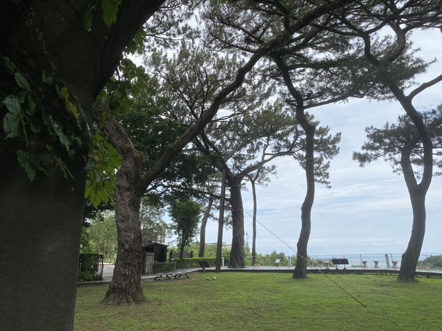 松園別館🍃🌱  花蓮 文化景觀 