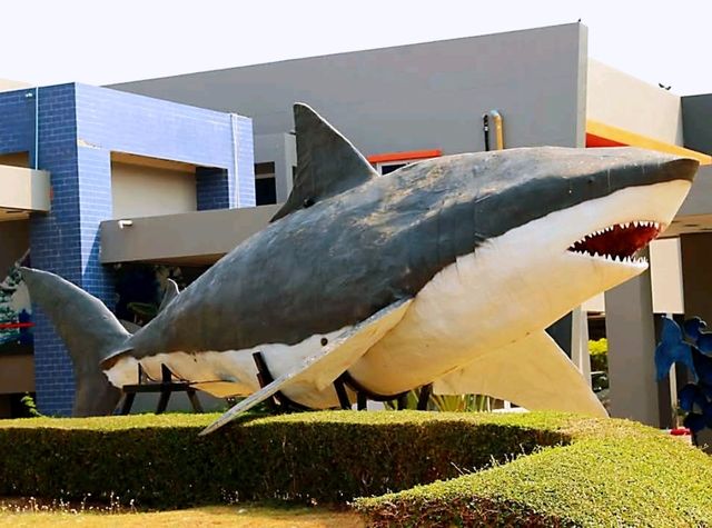 พิพิธภัณฑ์สัตว์น้ำหว้ากอ แหล่งเรียนรู้ทางทะเลใต้
