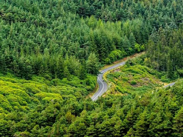 Tipperary – Ireland’s Historic Heartland of Rolling Hills and Heritage