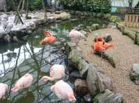 【島根県】 湖畔に広がる花と鳥のテーマパーク『松江フォーゲルパーク』🦉