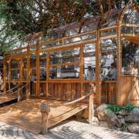 📍 Lecino Backyard Cafe 🏔️☕️🍰 ~เขาใหญ่~