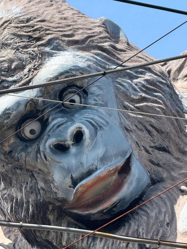 🇯🇵探秘東京隱藏寶地🦧三軒茶屋必逛指南，打卡猩猩樓🦍