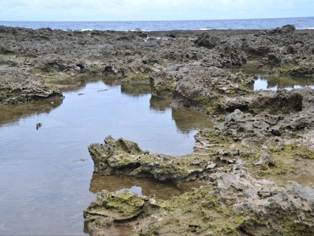 久米島で熱帯魚と出会えるスポット🐠✨