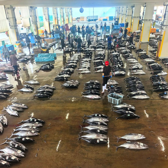 Katsuura Fish Market is buzzing !