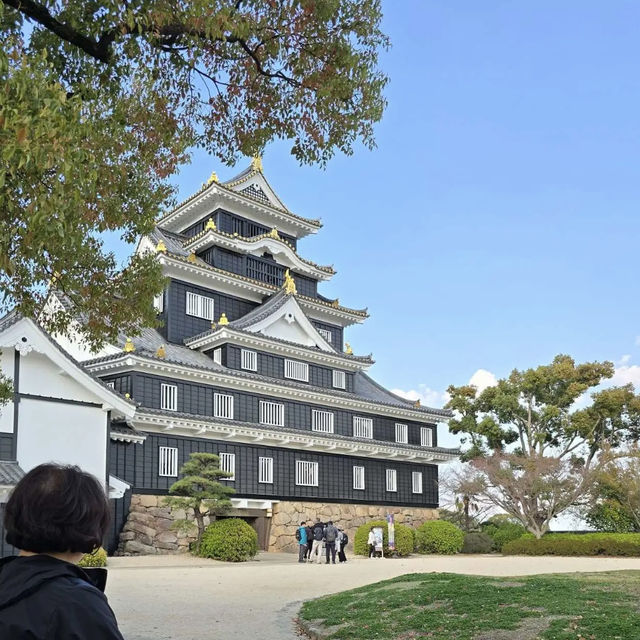 岡山城に行ってきました‼️