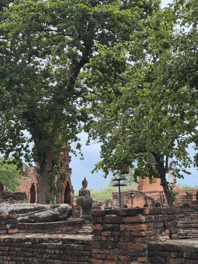 Wat Mahathat in Ayutthaya, Thailand 