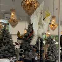 HLNG Cafe หลง คาเฟ่ พัทลุง