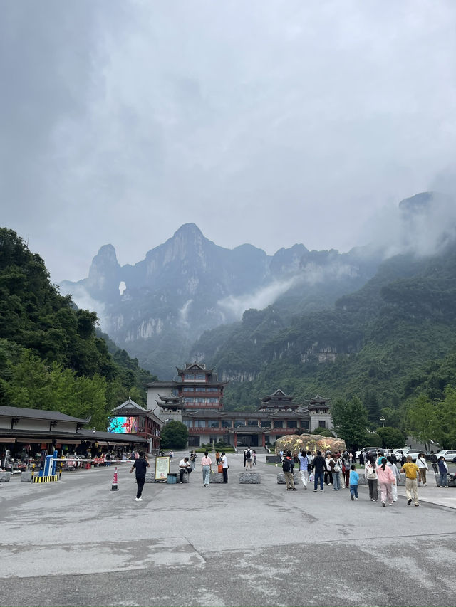 美景-高處不勝寒