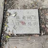 🚶‍♂️台北大縱走第五段｜逆走攻略：碧山巖 ➝ 劍潭站