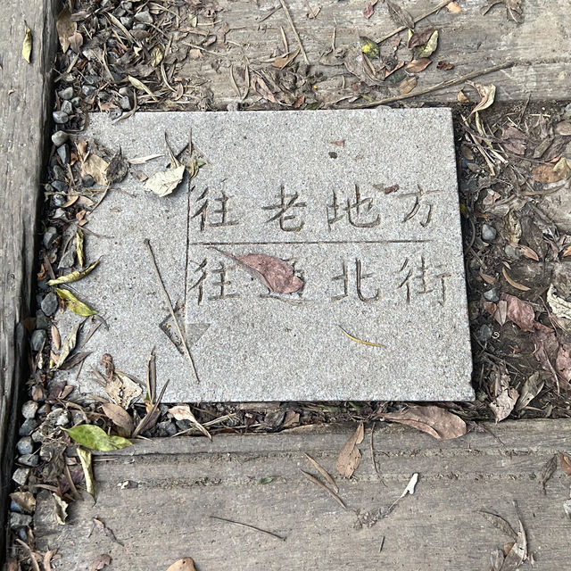 🚶‍♂️台北大縱走第五段｜逆走攻略：碧山巖 ➝ 劍潭站