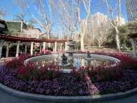 Top 3 Scenic Spots in Shanghai - Pedal or Walk through the charm of Shanghai . 