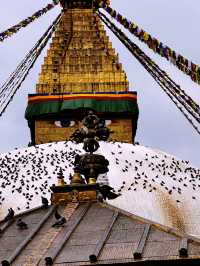 8 Buddhist temple in Kathmandu valley 