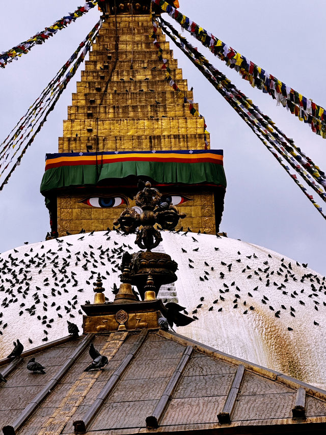 8 Buddhist temple in Kathmandu valley 