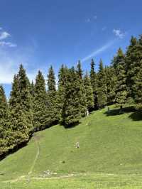 Off The Beaten Path Switzerland of the East? Jiangbulake, Xinjiang, China.