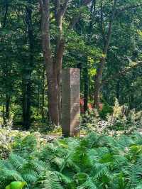 Tiergarten – Berlin’s Iconic Green Escape