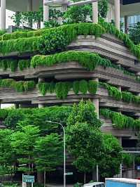 สิงคโปร์🇸🇬