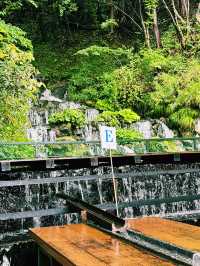 🌿【福島で夏の涼を味わうならここ！】 🏞️「流しそうめん 吾妻庵」@福島市
