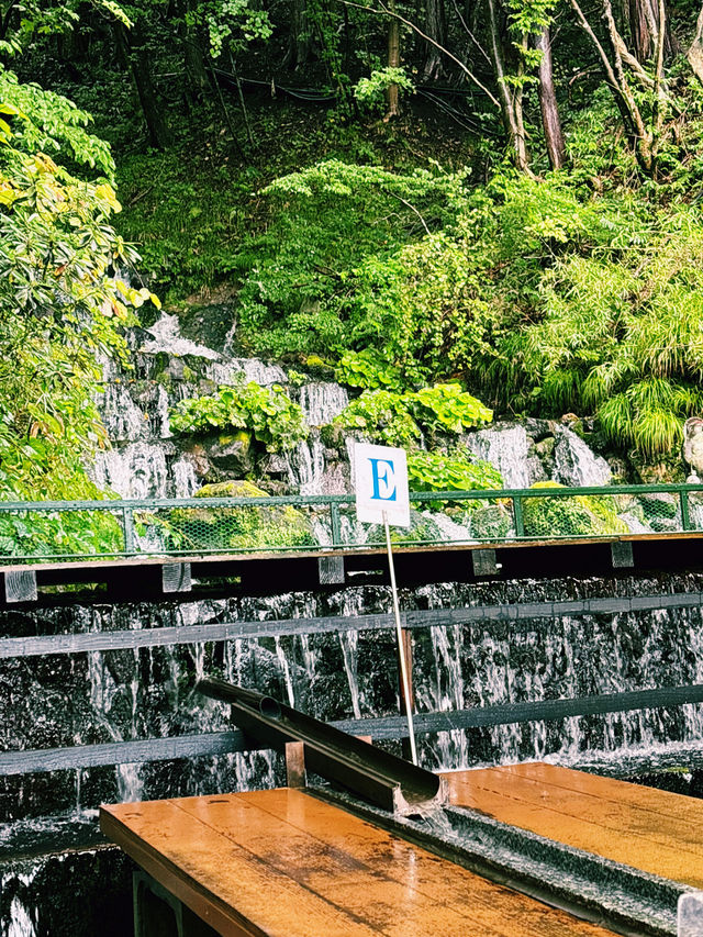 🌿【福島で夏の涼を味わうならここ！】 🏞️「流しそうめん 吾妻庵」@福島市