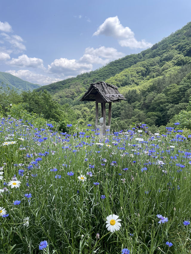 포항에서 만난 치앙마이 카페