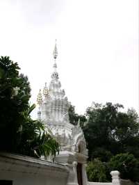 วัดป่าดาราภิรมย์ วัดสายป่าสวยสงบห้ามพลาด