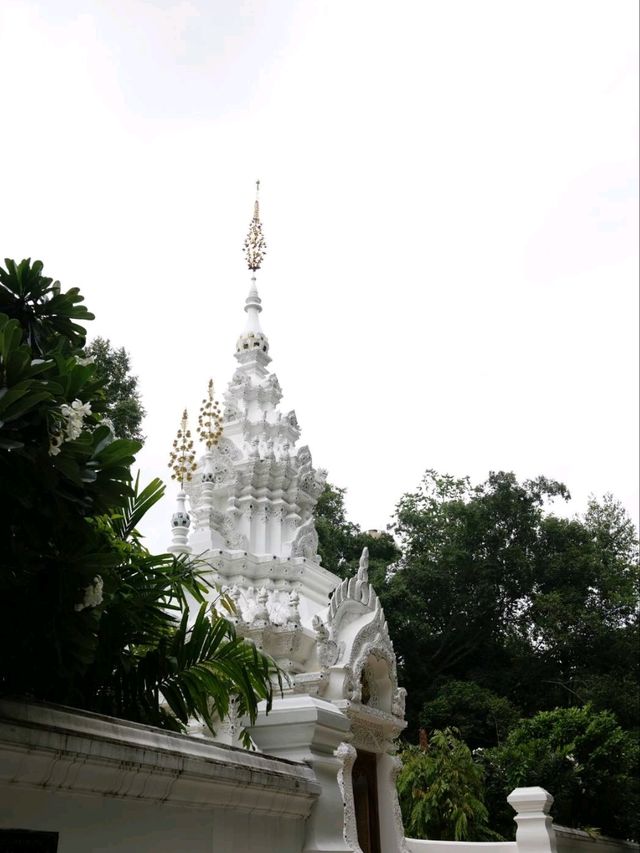 วัดป่าดาราภิรมย์ วัดสายป่าสวยสงบห้ามพลาด