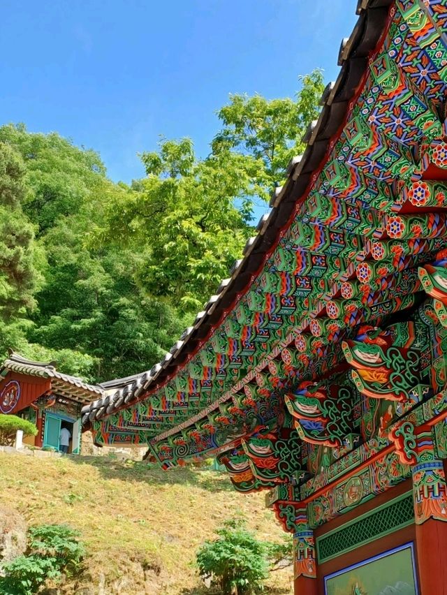 사찰 데이트는 이곳에서!