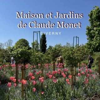 Hidden Gem in Paris: The Inspiring Garden of Monet’s Home 🎨🌸