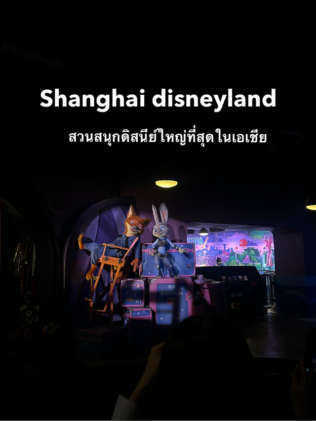Shanghai disneyland
