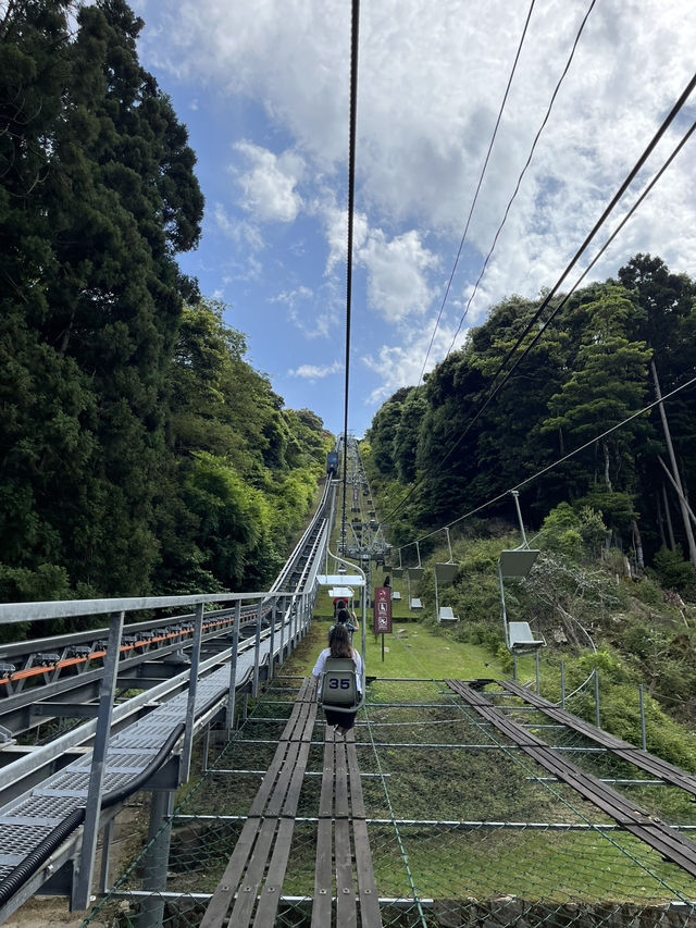 일본 3대 절경을 볼 수 있는 곳🎡