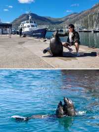 Cape town เมืองเดียว ที่เที่ยวเพียบ