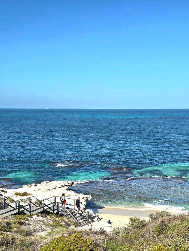Rottnest Island - Perth Australia