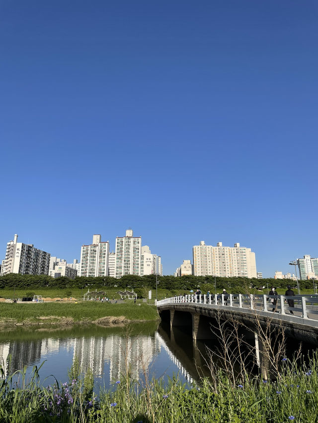 🌿 햇살 가득한 오후, 오목교 공원에서의 자전거 한 바퀴 🚴‍♀️