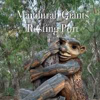 Western Australia, Perth - Mandurah: Discovering One of the Six Giants! 🚶‍♀️🌲