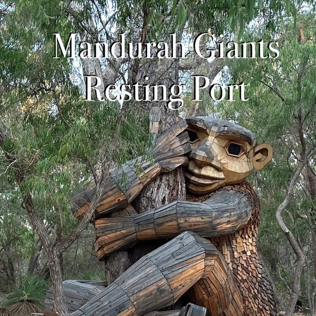 Western Australia, Perth - Mandurah: Discovering One of the Six Giants! 🚶‍♀️🌲