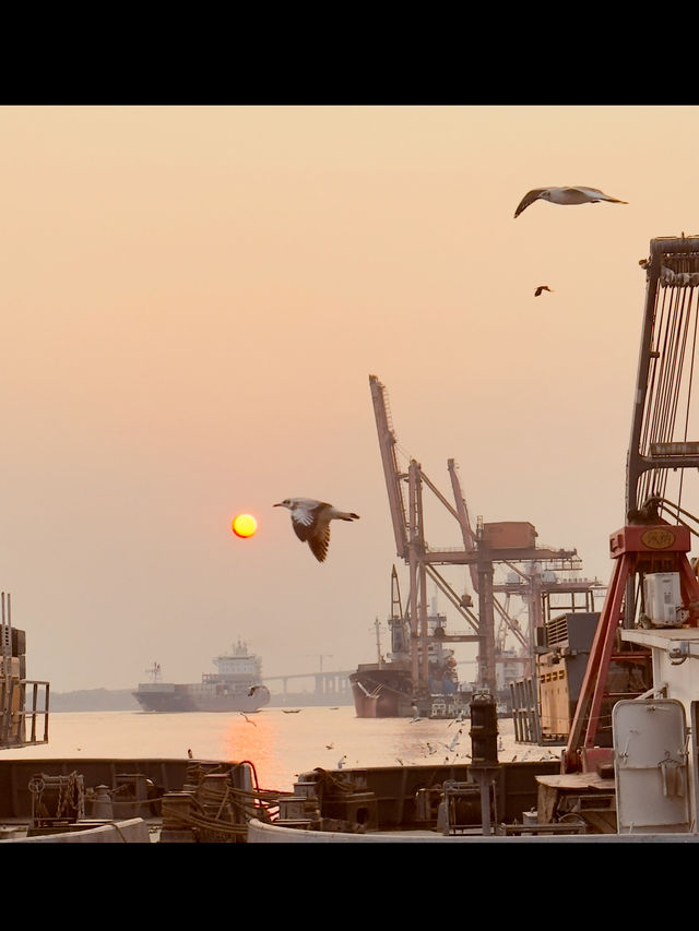 🌇 Chasing Sunsets & Feeding Birds at Botataung Jetty