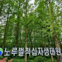 Daejeon Wanders