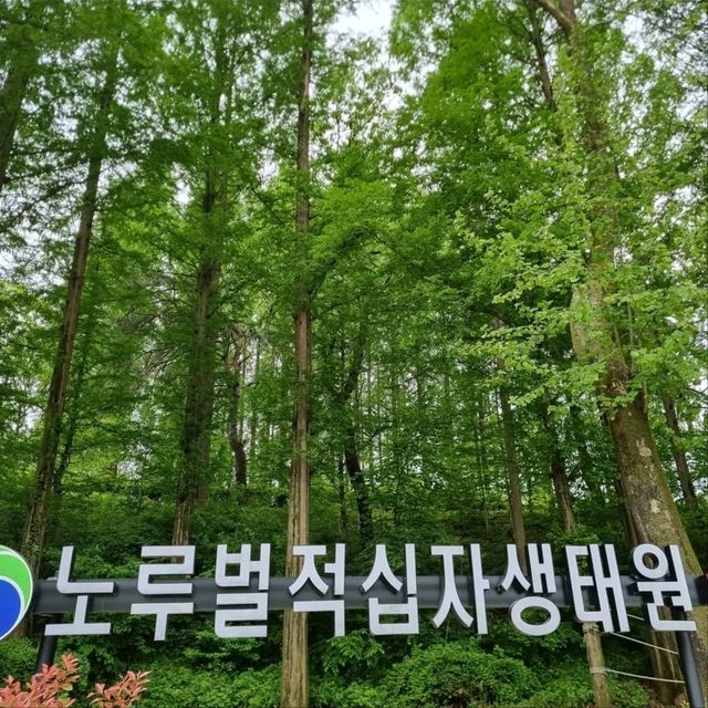 Daejeon Wanders